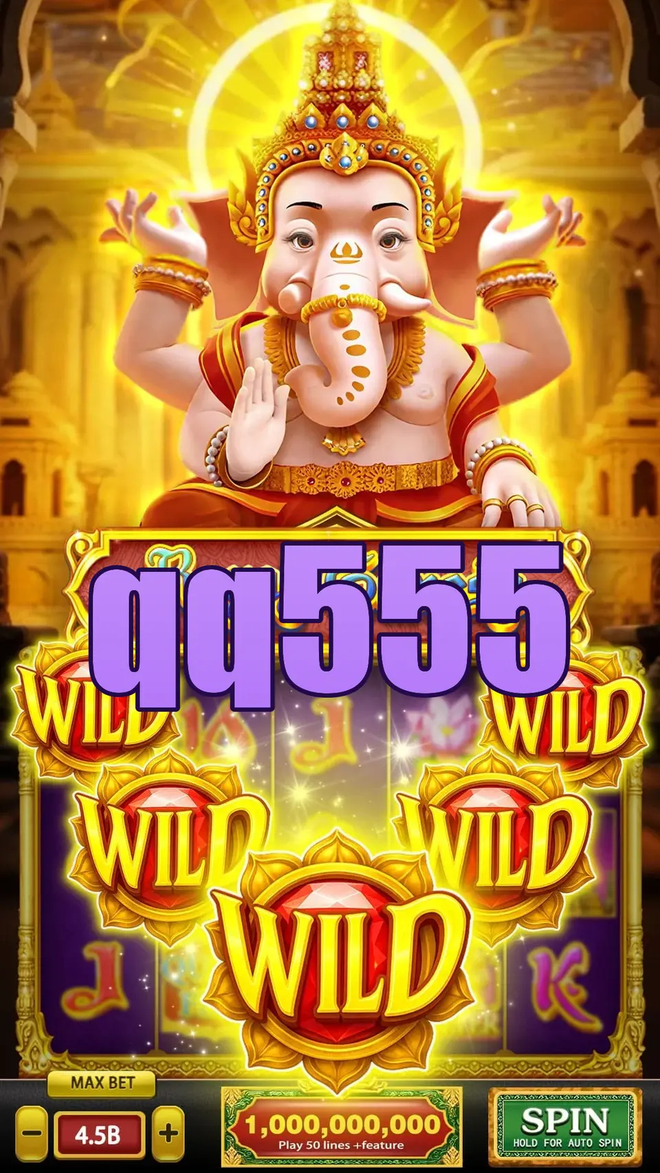 qq555 Login